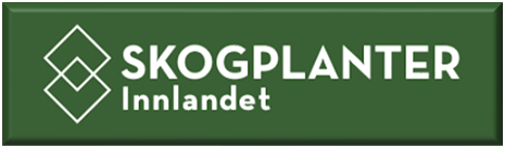 SKOGPLANTER INNLANDET AS