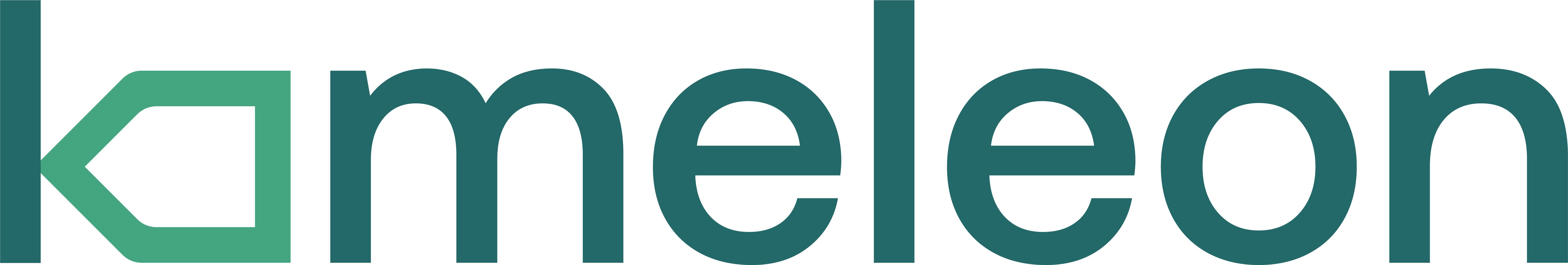 Kameleon Solutions AS