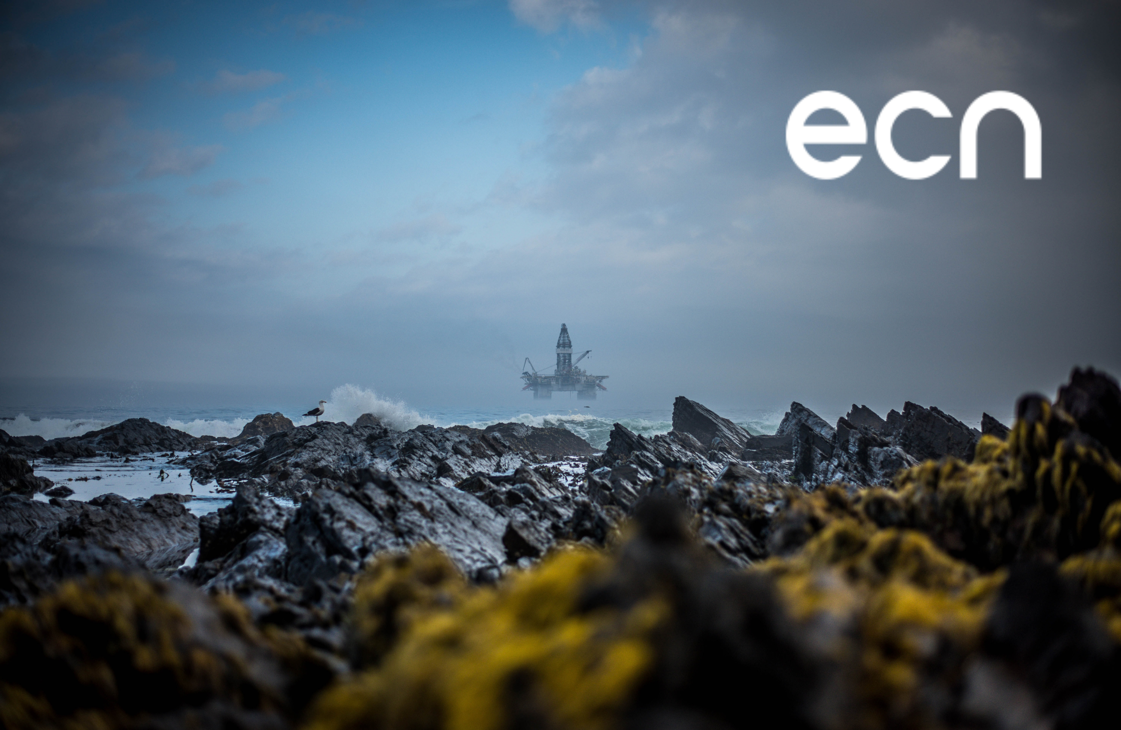 Engineering Consultants Norway AS