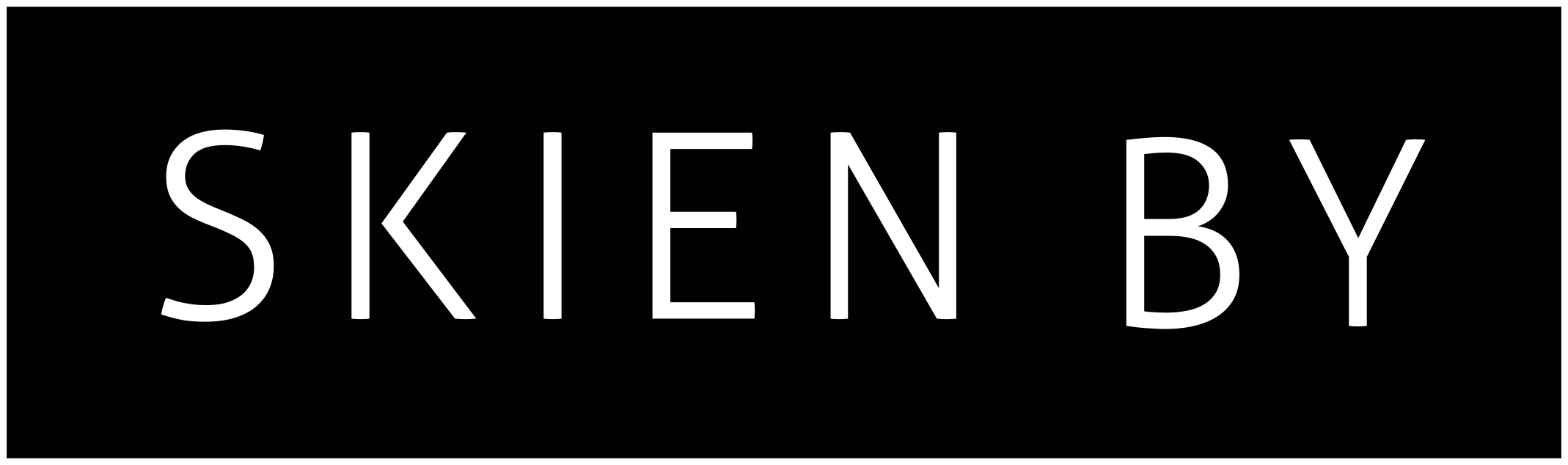 Skien By