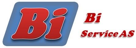 BI SERVICE AS